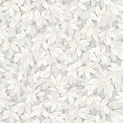 Andrea Rossi Barbana 54295-2