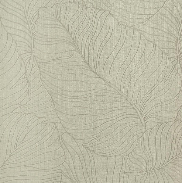 Andrea Rossi Palmaria 54464-5