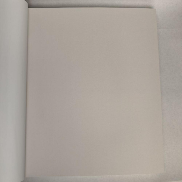 Andrea Rossi Berggi 54450-3 Andrea Rossi Berggi 54450-3