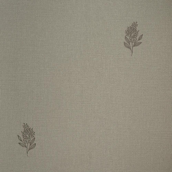 Andrea Rossi Palmaria 54462-8