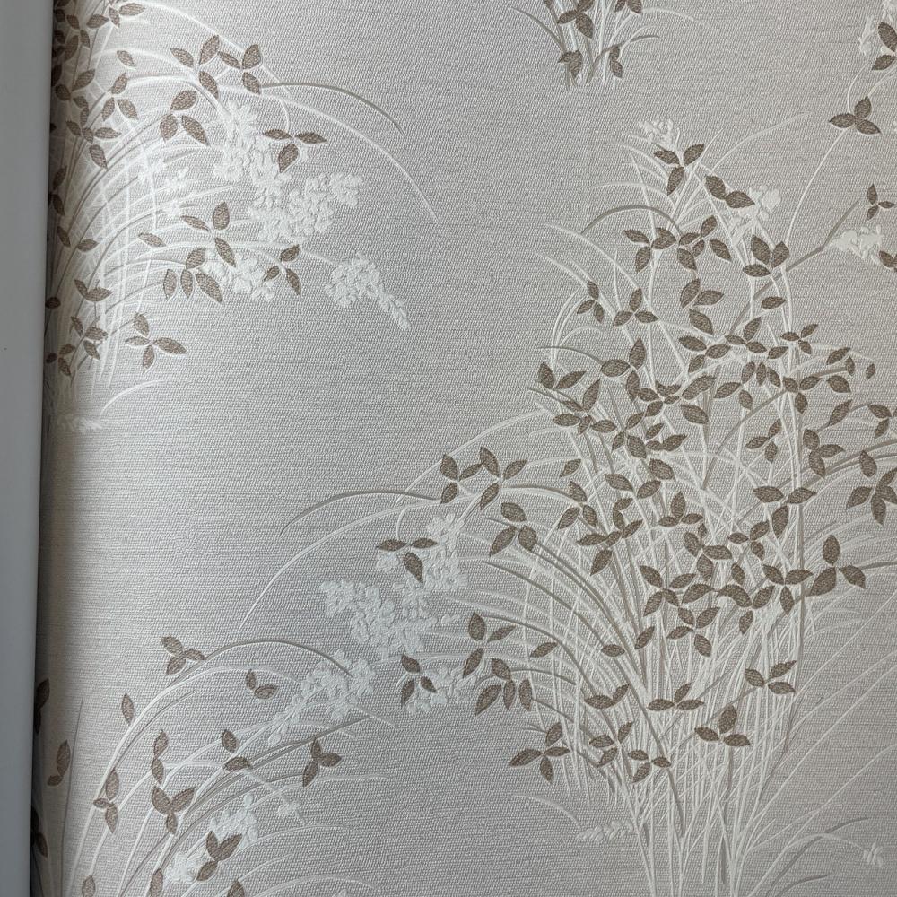 Andrea Rossi Palmaria 54468-4