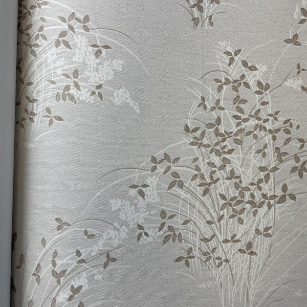 Andrea Rossi Palmaria 54468-4