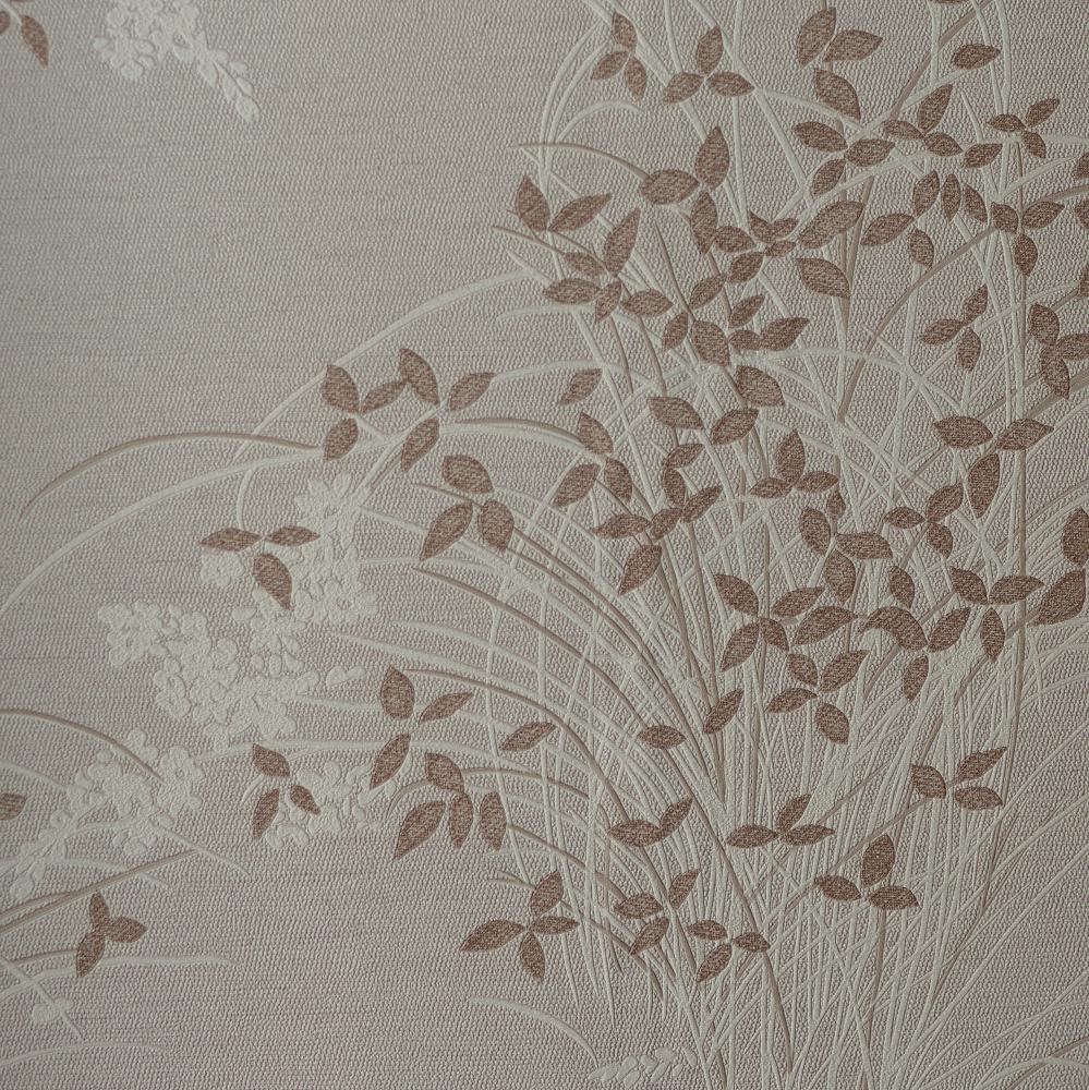 Andrea Rossi Palmaria 54468-4