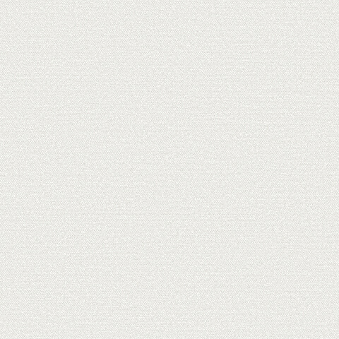 Andrea Rossi Gallinara 54308-2