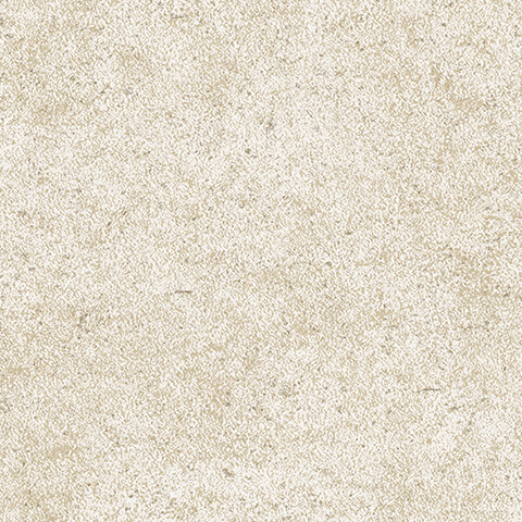 Andrea Rossi Arlequin 54298-8