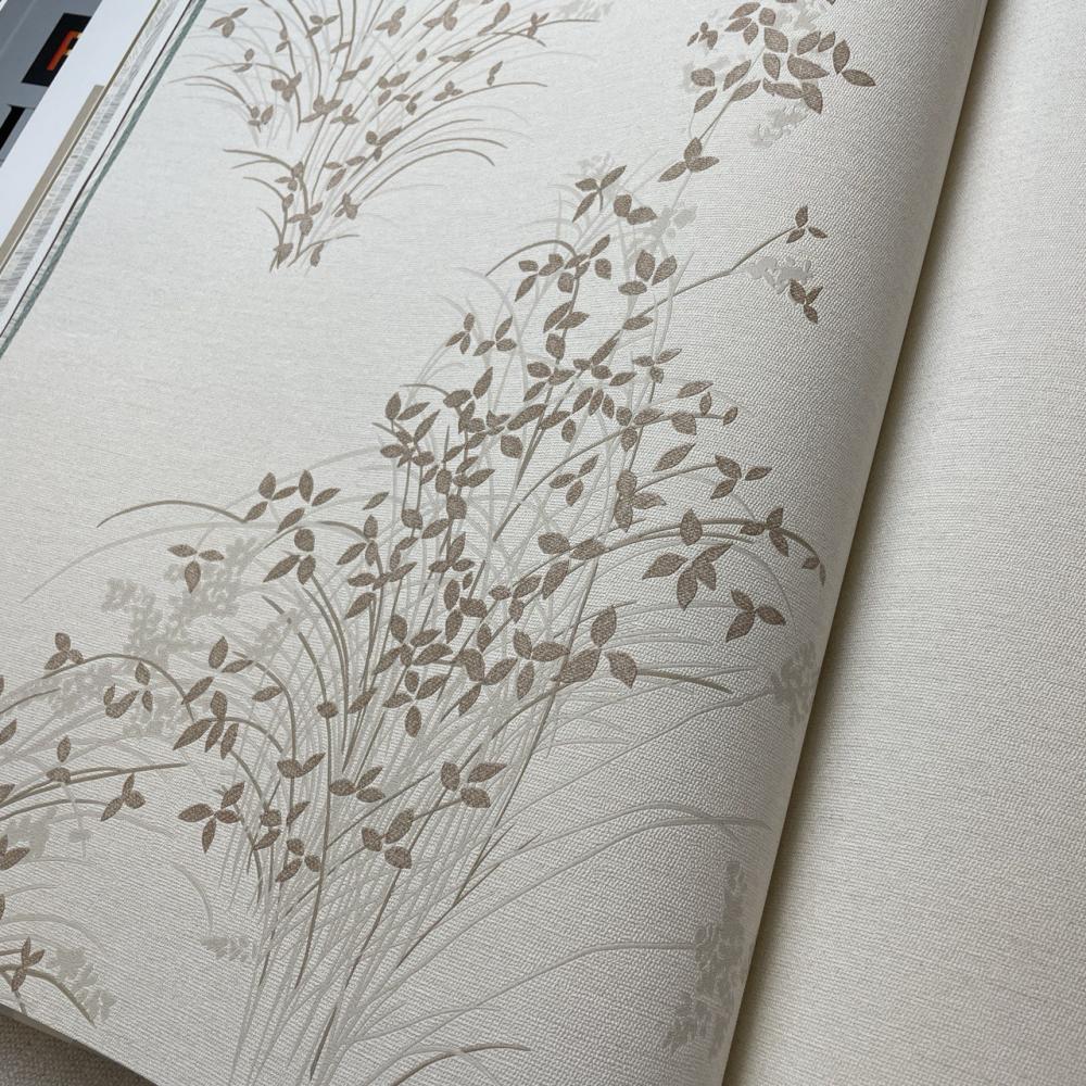 Andrea Rossi Palmaria 54468-3