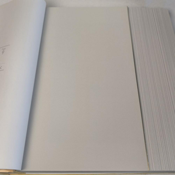 Andrea Rossi Cavolli 54424-5