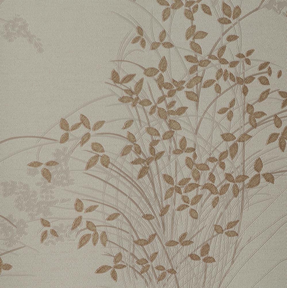 Andrea Rossi Palmaria 54468-2