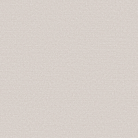 Andrea Rossi Gallinara 54308-3