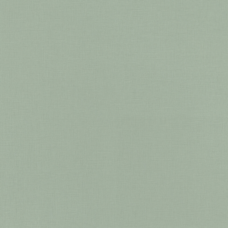 Salsa (Club Botanique) 537901