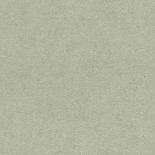 Rasch Natural Colors 408171