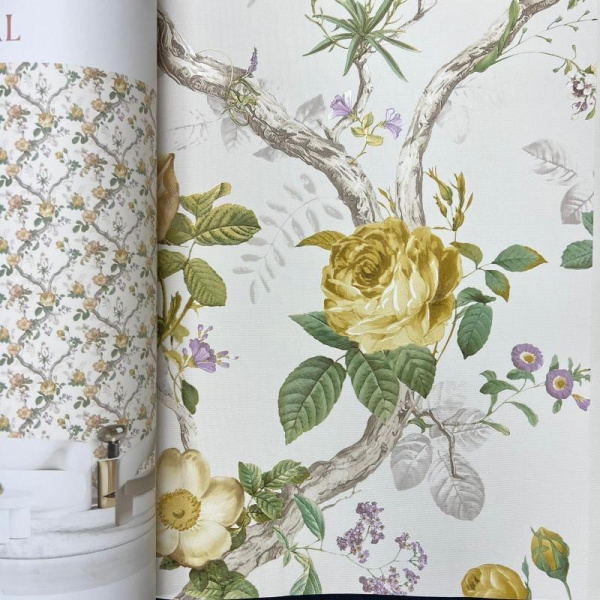 Andrea Rossi Cavolli 54421-3