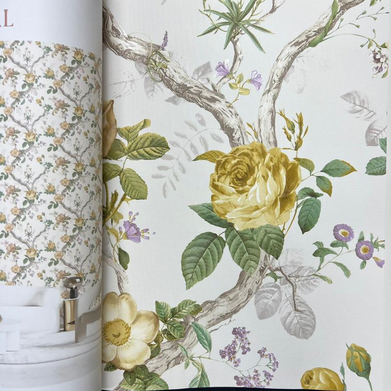 Andrea Rossi Cavolli 54421-3