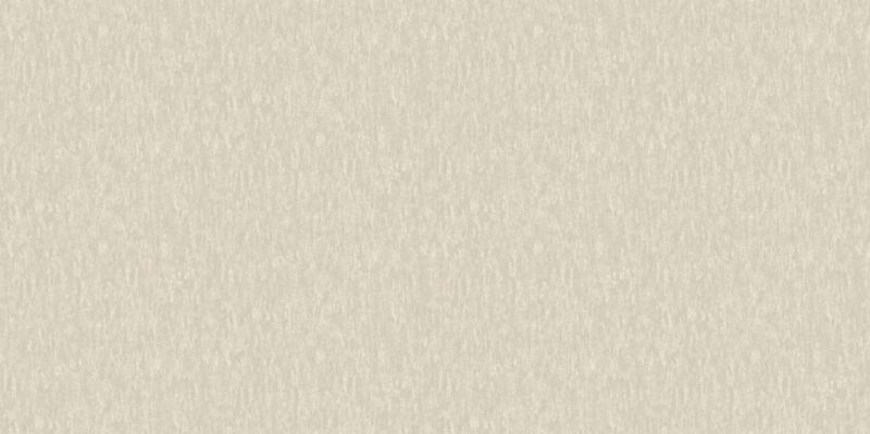 A. Grifoni Palazzo Ragione 7026-6