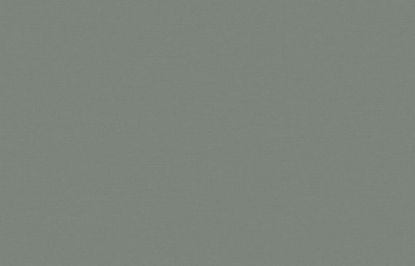 Loymina Equator QTR8 006_1