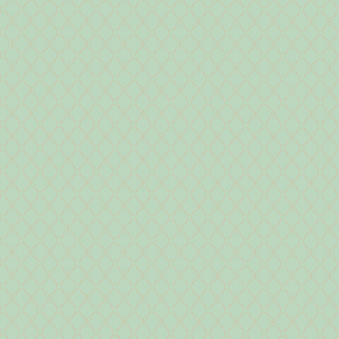 Andrea Rossi Gallinara 54315-6