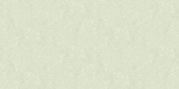 A. Grifoni Palazzo Ragione 7025-6