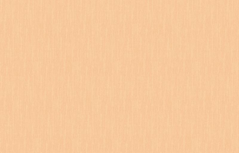 Loymina Shade SD2 003_2