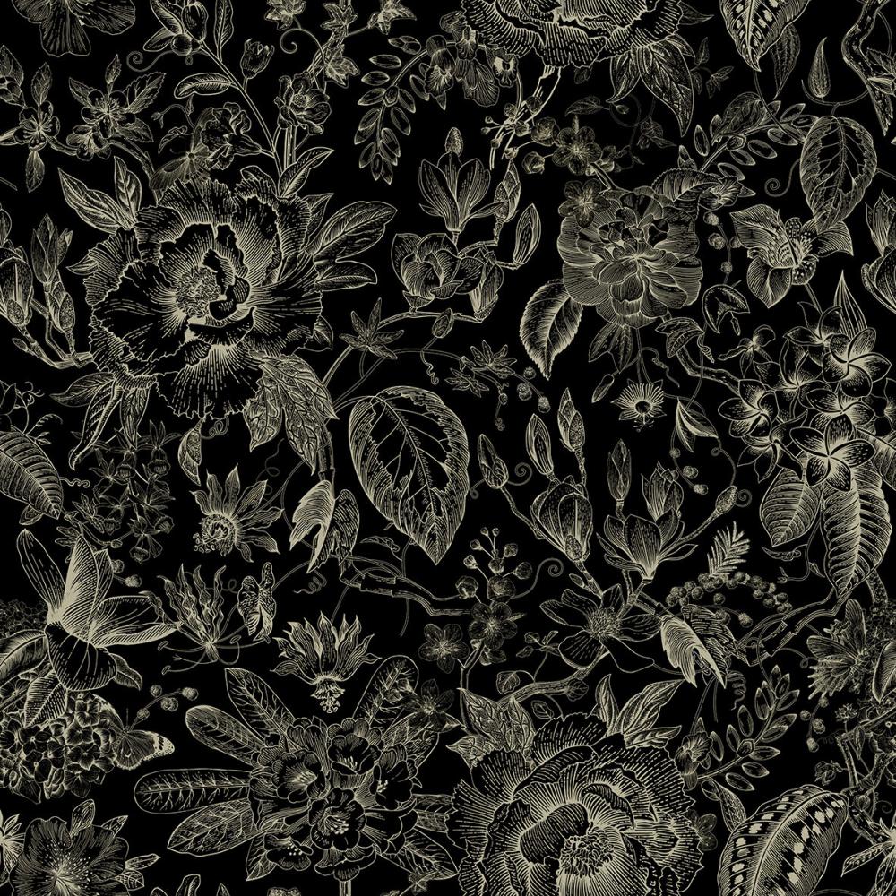 Marburg Gloockler Pompoos Provence 35617