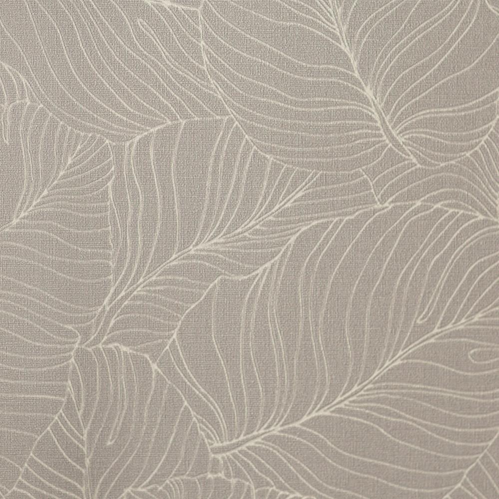 Andrea Rossi Palmaria 54464-7