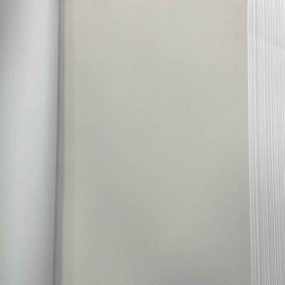 Andrea Rossi Cavolli 54424-3