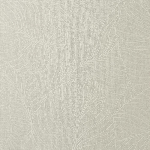 Andrea Rossi Palmaria 54464-6