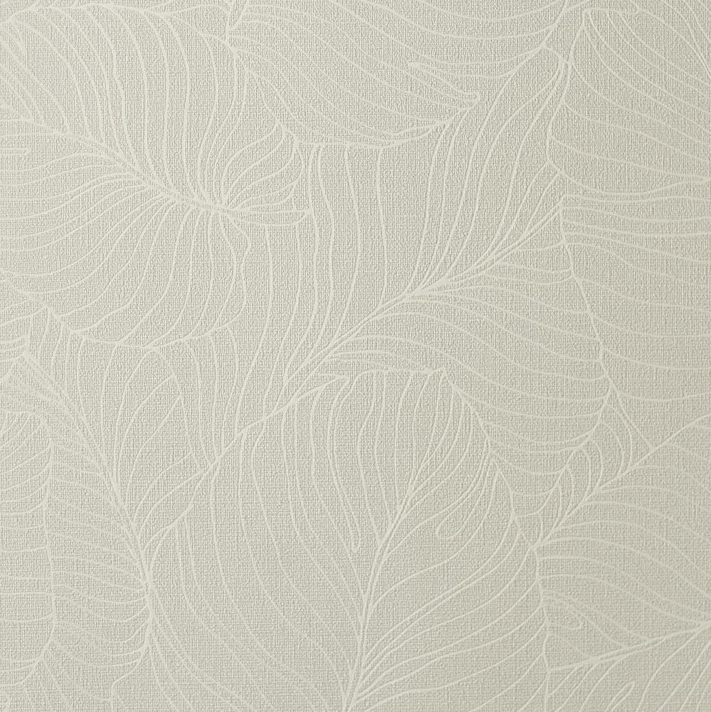 Andrea Rossi Palmaria 54464-6