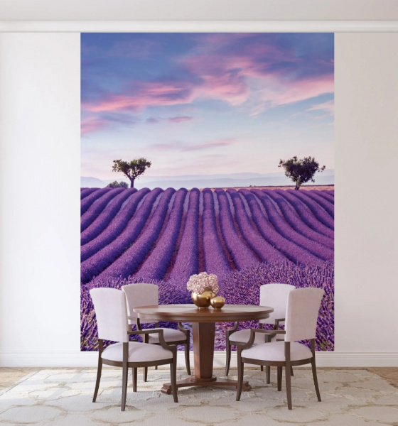 Marburg Gloockler Pompoos Provence 35643