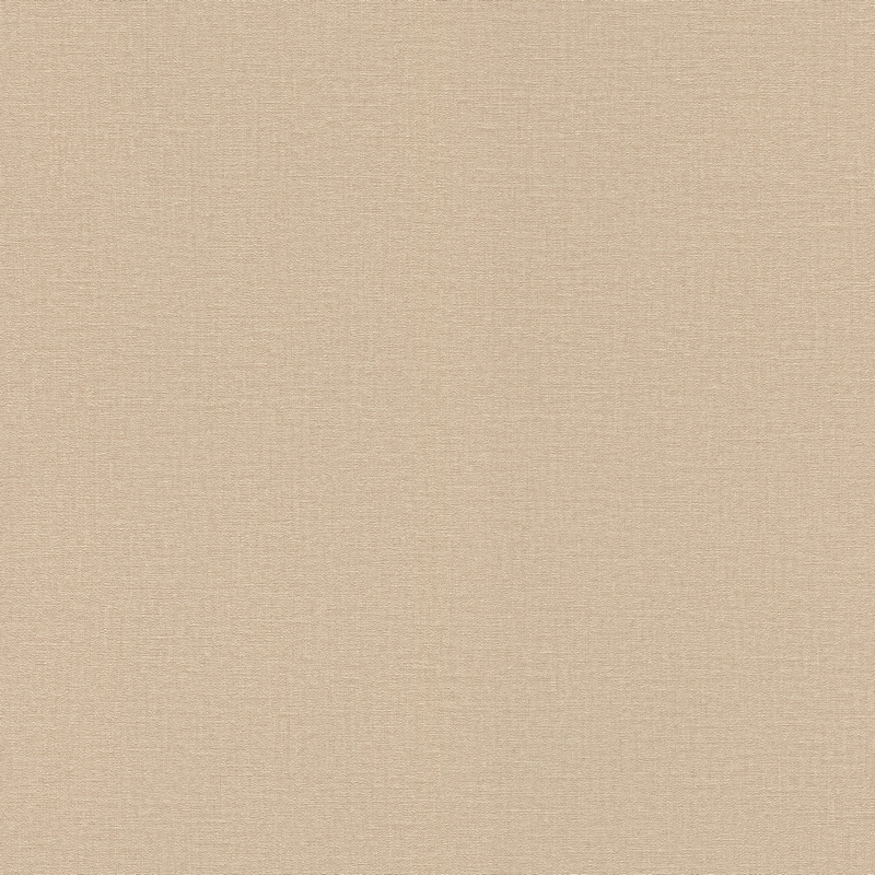 Rasch Natural Colors 555882