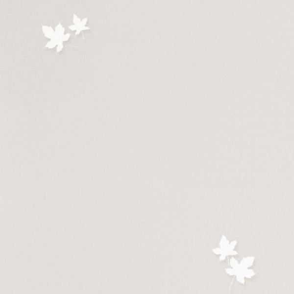 Andrea Rossi Spectrum Pro 54384-2 Andrea Rossi Spectrum Pro 54384-2