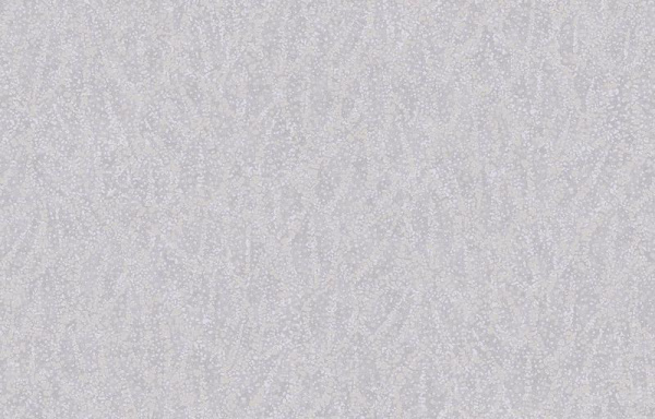 Loymina A la Prima PM7 006